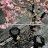 @pinky-q7f6l