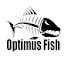 ET8E9XRHcBc-channel-avatar-Optimus Fish
