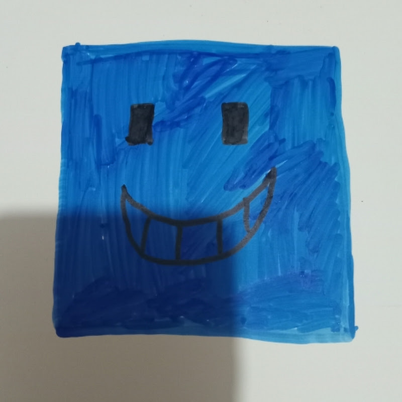 canpok!_roblox!  PRO