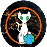 Poll from Culture Catz