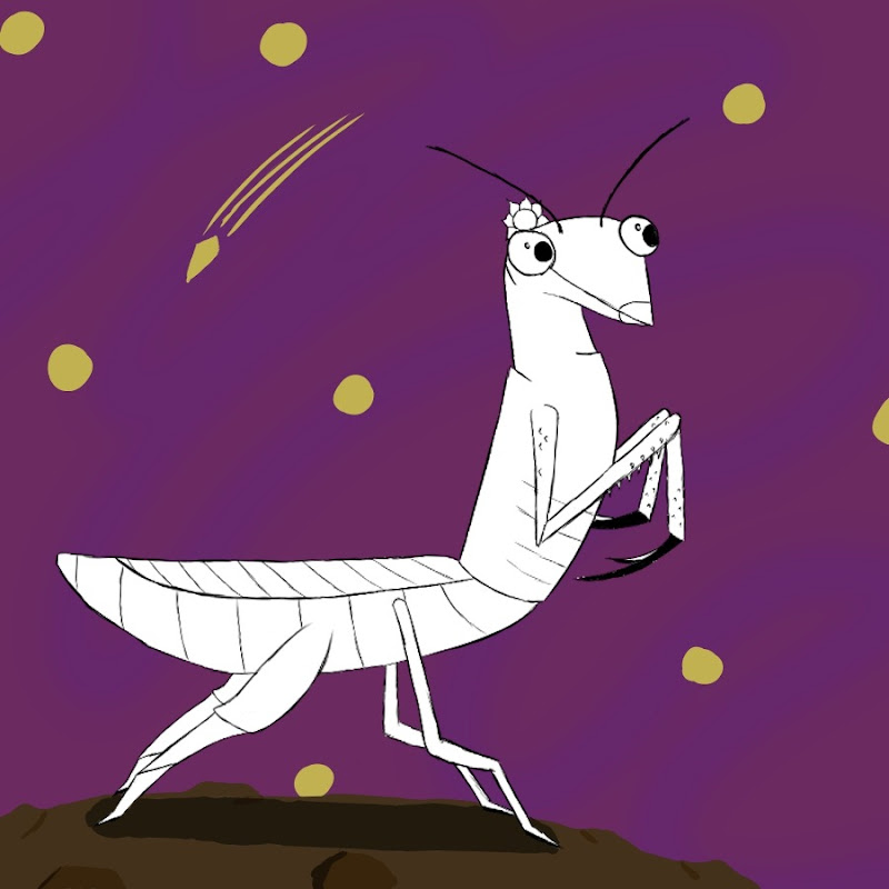 Ms. Night Mantis