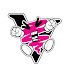 8NrEBZknZik-channel-avatar-VersusVortex