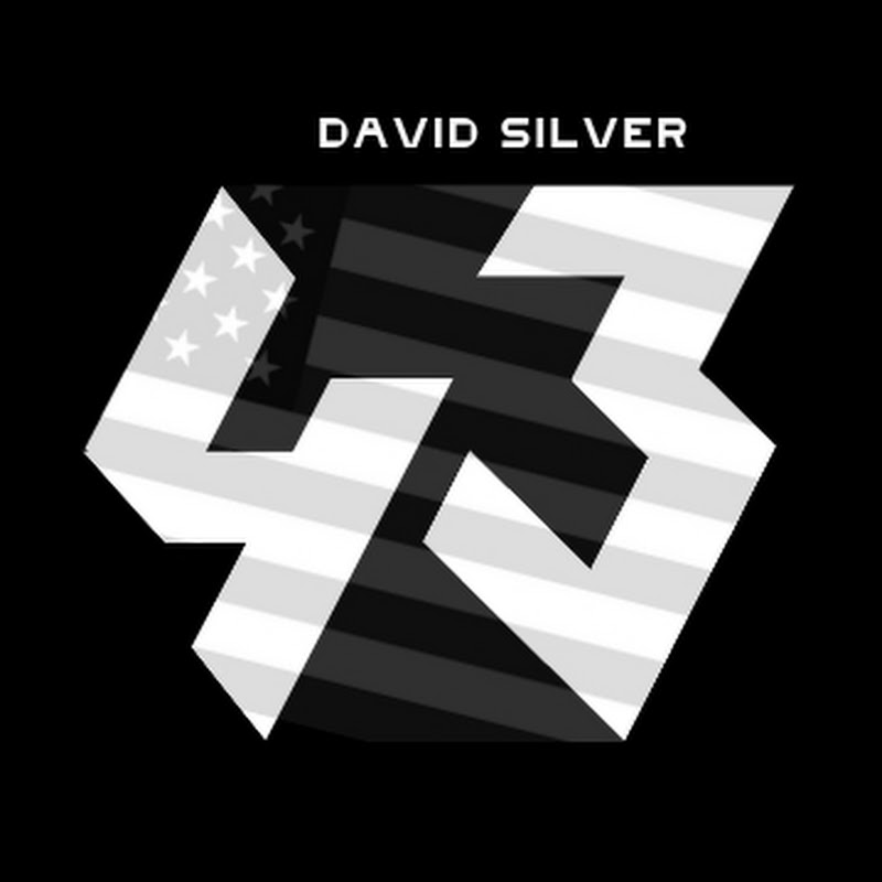 David Silver - DS43