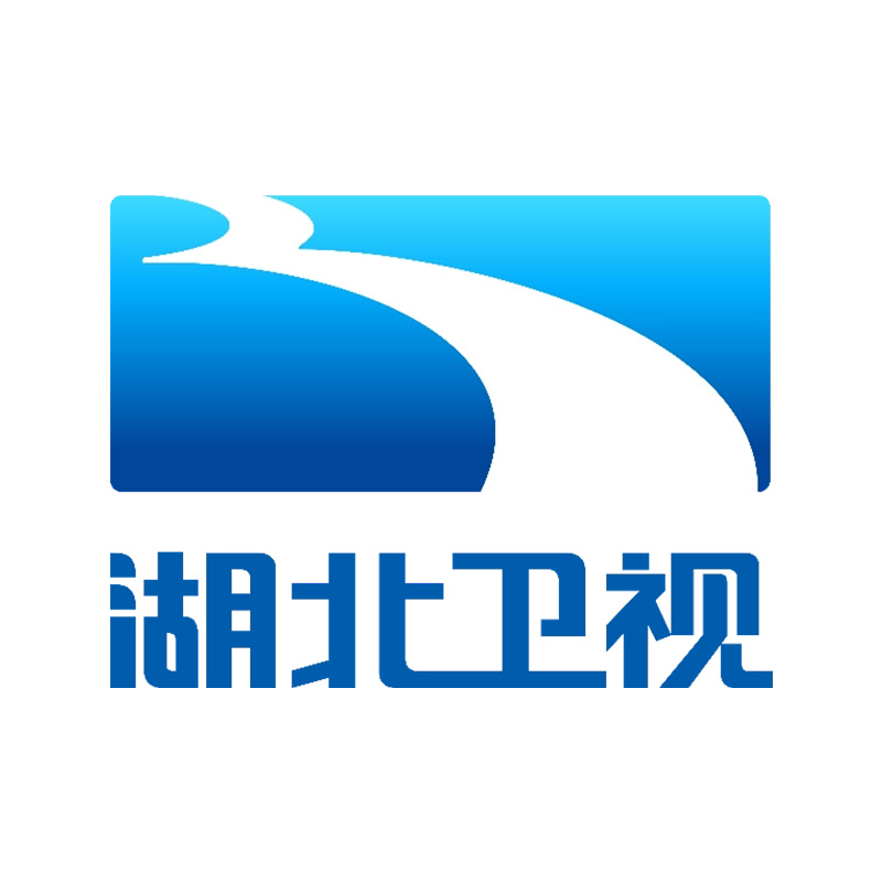 湖北卫视官方频道 China HuBeiTV Official Channel Logo