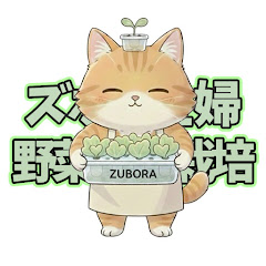 ズボラ主婦の野菜水耕栽培