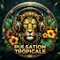 eQLX2G-R9GE-channel-avatar-Pulsation Tropicale