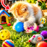 M-thqQGUacE-channel-avatar-Cat Cute