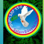 Selam Desta tube (ሠላም ደስታ ቲዩብ) logo