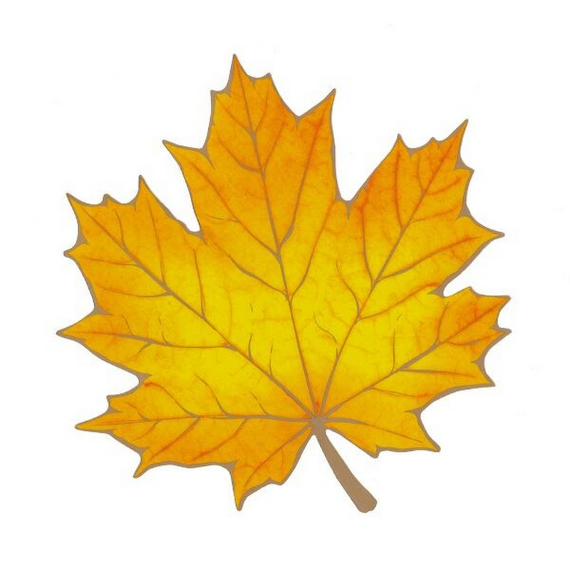 Александр Макаров Logo