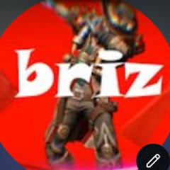 briz 69
