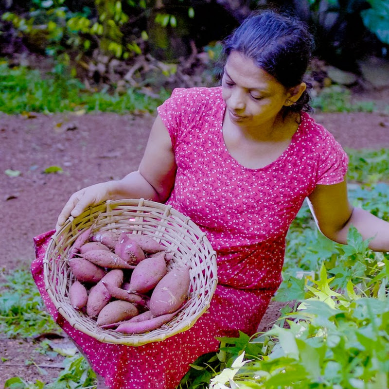 Hire Ceylon Village Life — Food & Drink YouTube creator for sponsorships