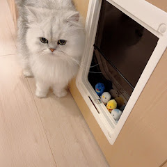 おさにちゃん