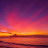 @-The_sunset_besties_offcial-