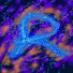 gTcCrDS_OeA-channel-avatar-Rarson