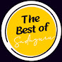 The Best of Sadhguru (Fan Channel) logo