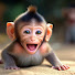 bYzdZublokc-channel-avatar-Leo Monkey