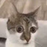 8UW8PxnxMm4-channel-avatar-sHell don