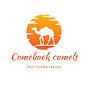 Comeback Camels 🐪