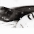 H8pyoAV247Q-channel-avatar-unique.enidan