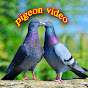Pigeons Lover Nani logo