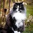 ZAwj_FBnJ3k-channel-avatar-parkerESSA