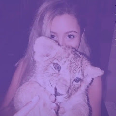 ⊹ ʙearч.s ིྀ