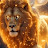 @Lionofjudah1708
