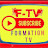 Formation TV