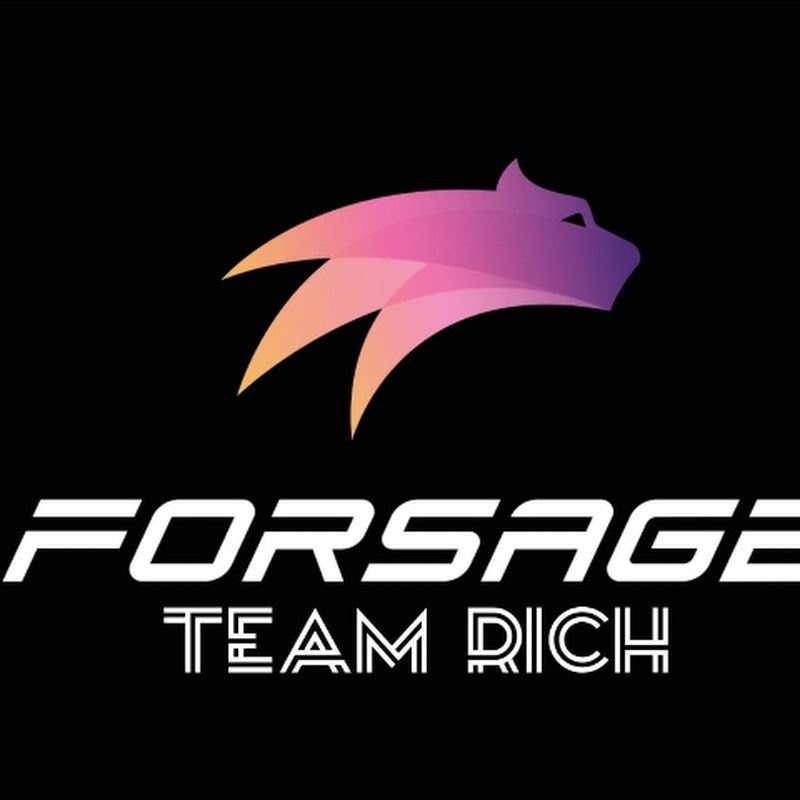 FORSAGE TEAM RICH