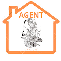Agent the North channel logo