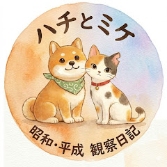 ハチとミケ「昭和平成」観察日記アイコン画像