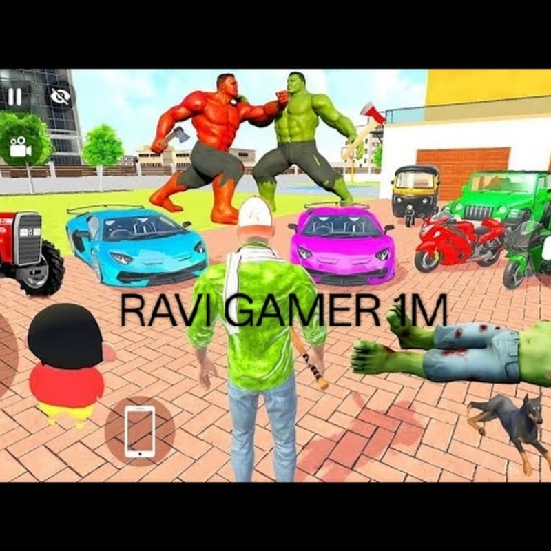 RAVIGAMER 1M