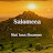 Salomeea - Topic