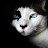 @catminister1075's avatar