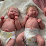 OlFPPpHQWRM-channel-avatar-SkyCat's Reborn nursery.