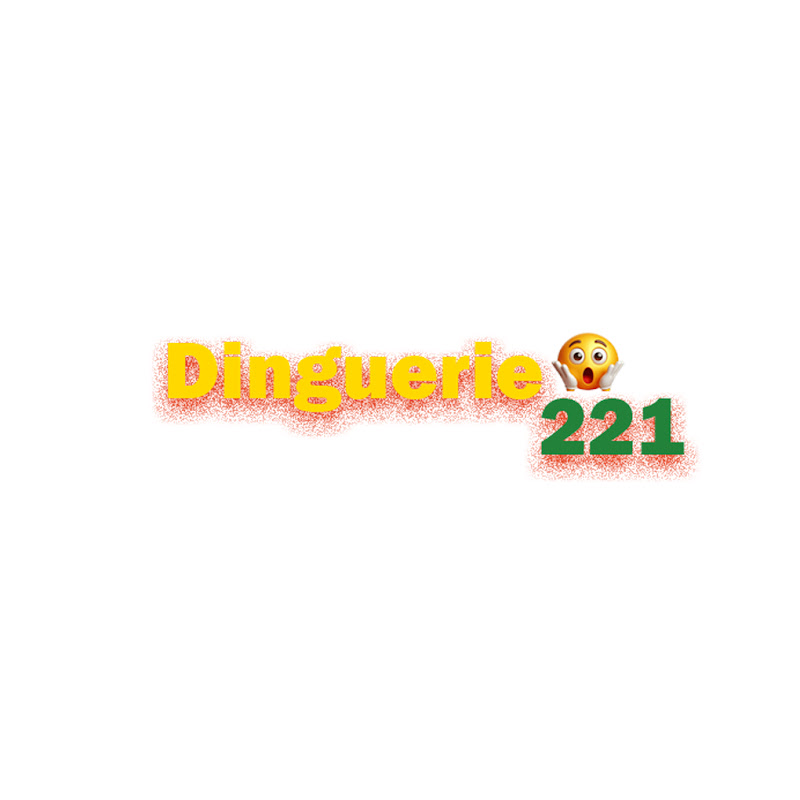 Dinguerie 221