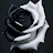 @GhadaRagab-zn8sf
