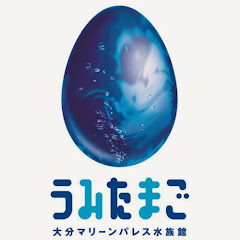 うみたまごチャンネル