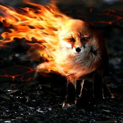 FOX FIRE 007