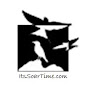 ItsSoarTime logo