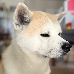 狛犬