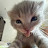 @taki_n9p6