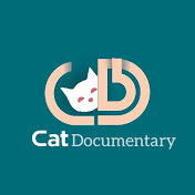 Funny Cats Documentary