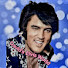 _GaEX4FRzsE-channel-avatar-David's Elvis World