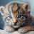@jamesskyway6746's avatar