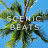 Scenic Beats