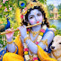 yzBcMCnIP44-channel-avatar-गुरु की आस्था