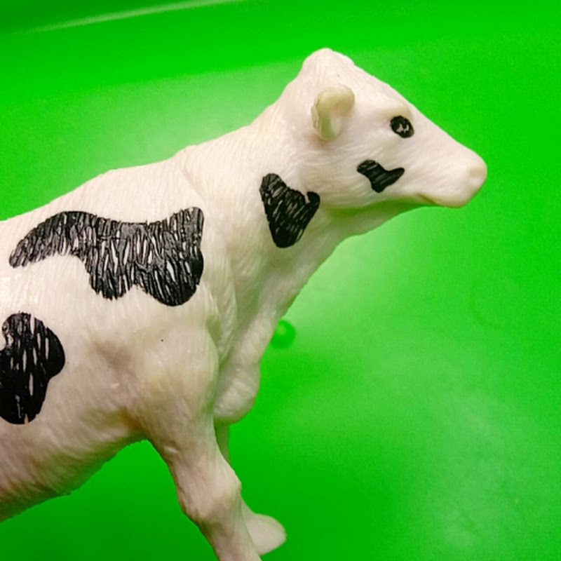 Home Animal Toys