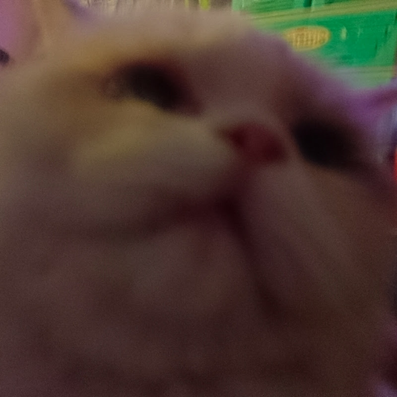 Centimo