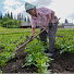 5DkGLETi3bk-channel-avatar-Sauciuc Family Farm